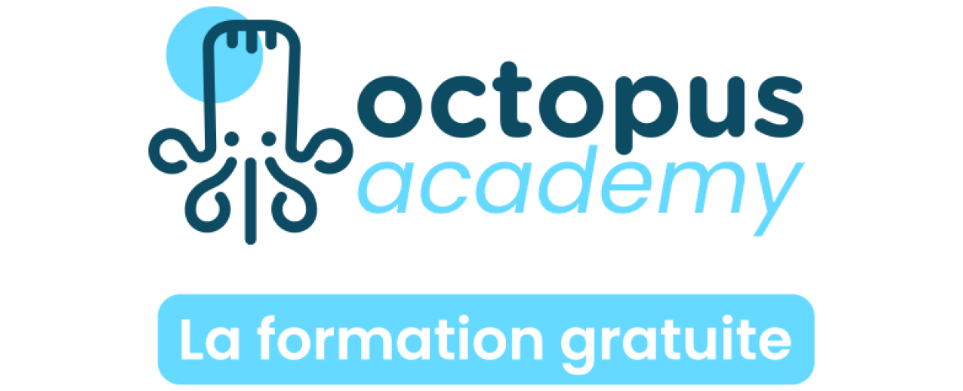 logo octopus academy