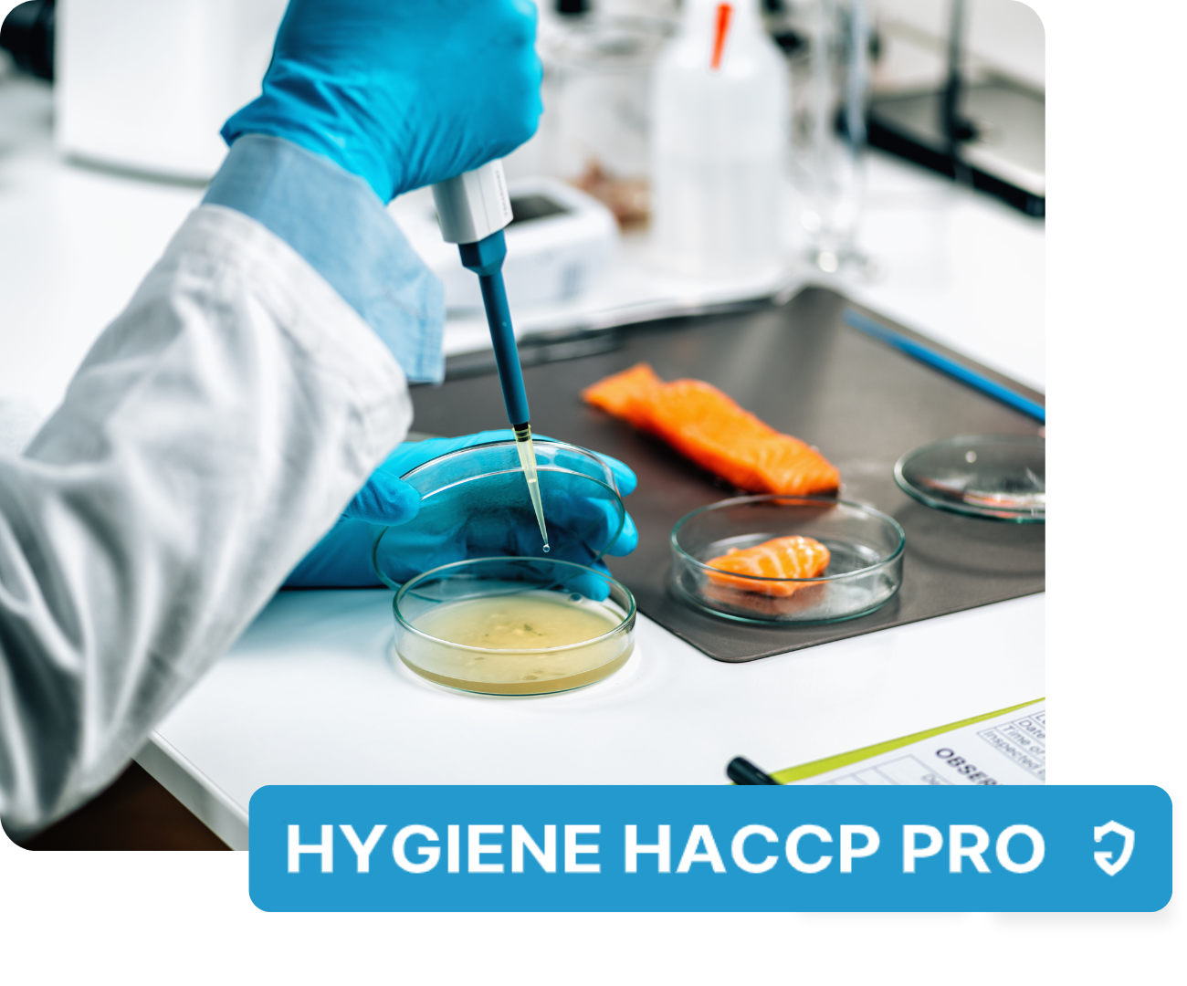 hygiène haccp pro logo hygiène haccp pro logo