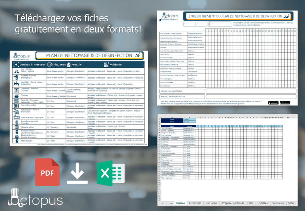 fiche plan de nettoyage et désinfection excel pdf haccp cuisine