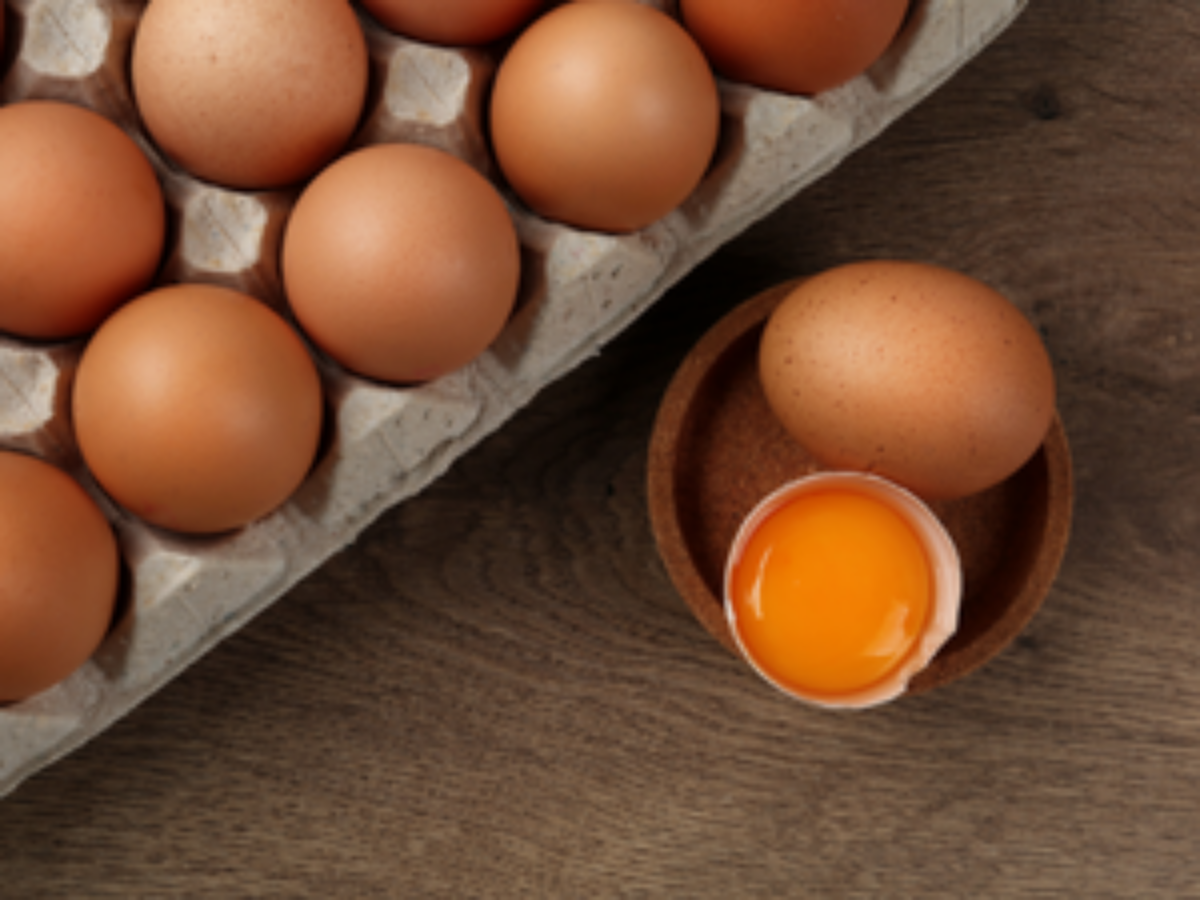 Conservation et utilisation des œufs : que dit la réglementation ?