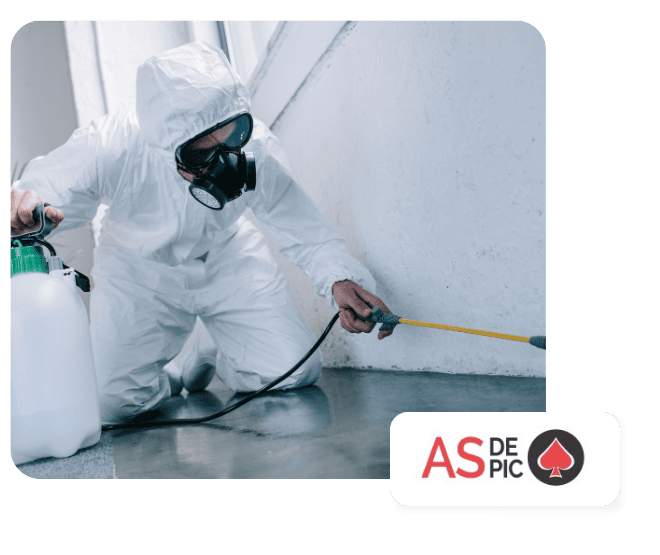 Plan de lutte contre les nuisibles