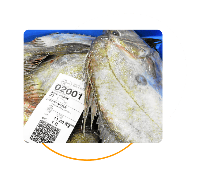 Traçabilité poissonnerie
