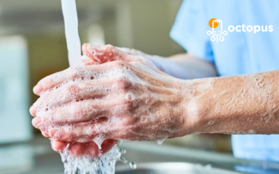 Contamination croisée en cuisine : définition, risques et plan de maîtrise HACCP